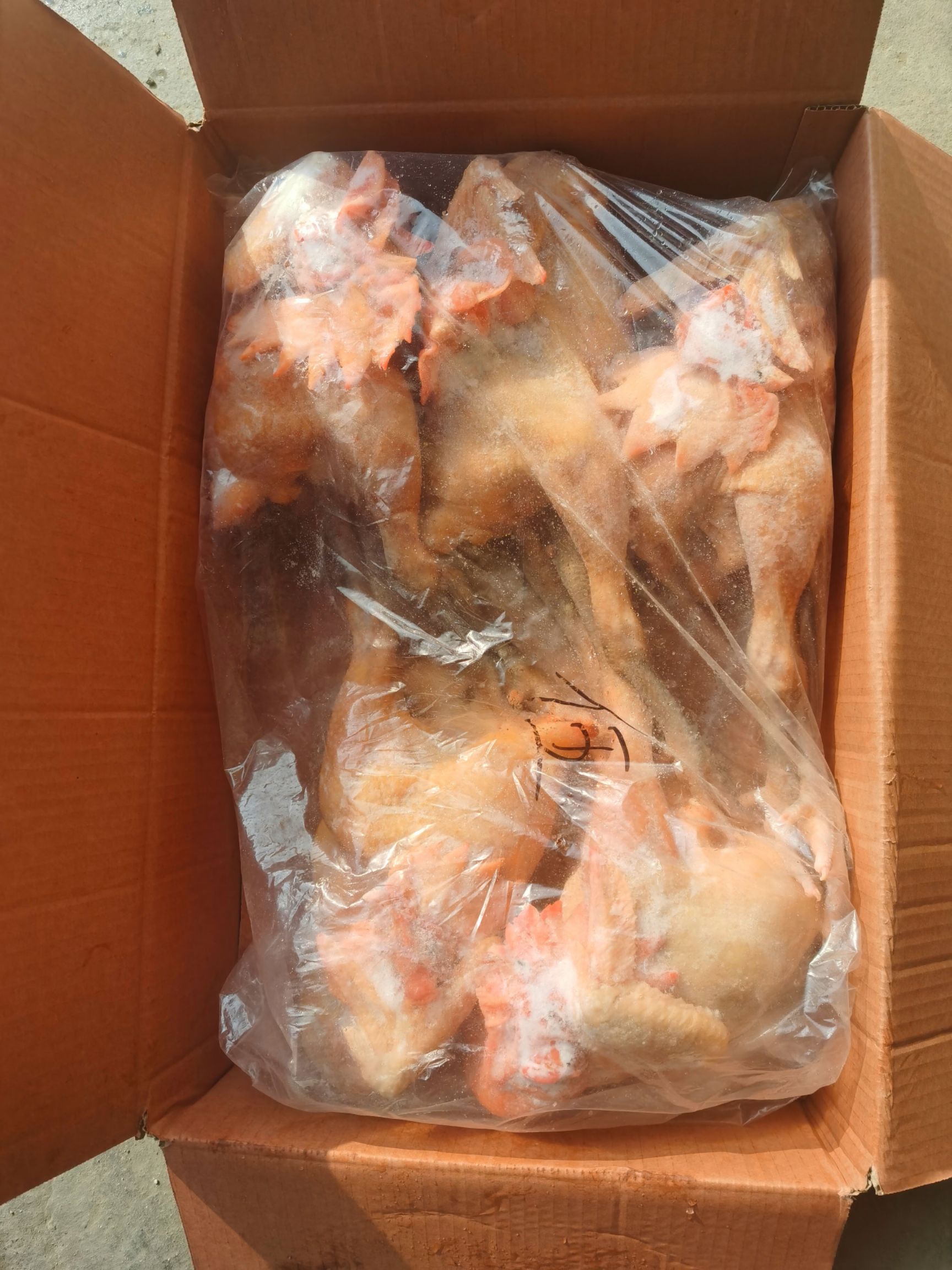 鸡肉  土鸡   散养笨公鸡