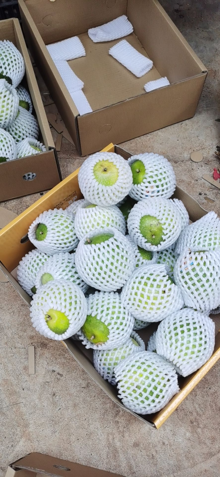  用酵素种植的百香果，特别甜。口感好。