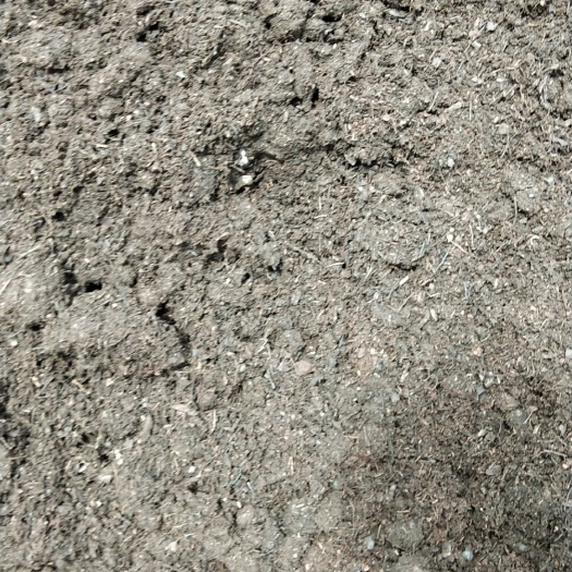 育苗基质 大量出售基质土