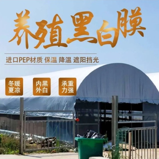养殖大棚，养鸡大棚，养羊大棚，养牛大棚