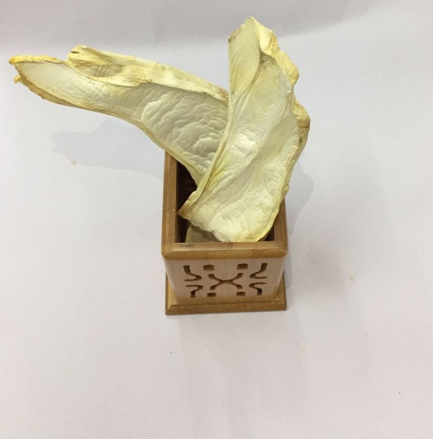  杏鲍菇 精选大片 产地供应 一手货源
