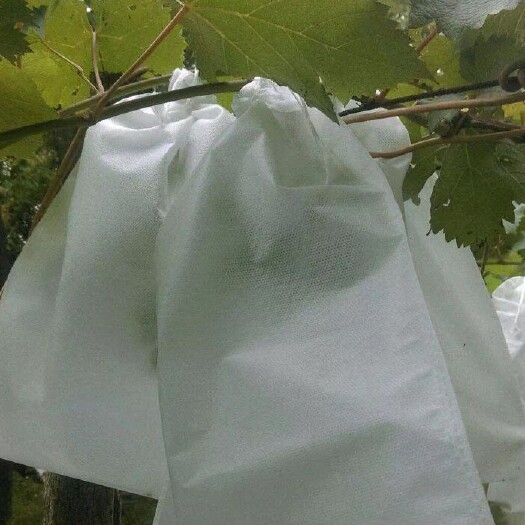 舞阳县 纸袋防虫水果防污染葡萄袋子果树葡萄套袋无纺布绿色套果袋