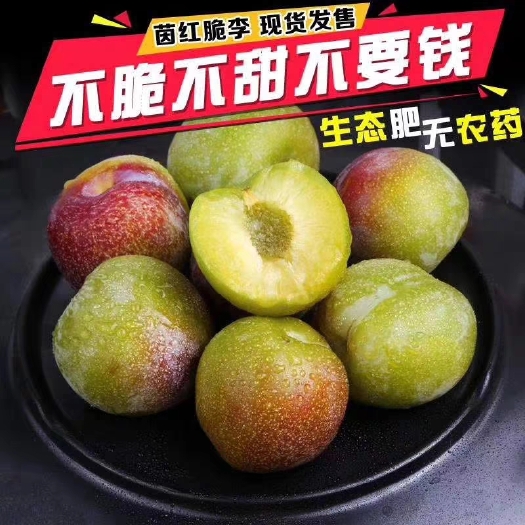 屏山县 四川脱骨李子新鲜水果现摘现发孕妇青脆李空心土李子整箱5斤包