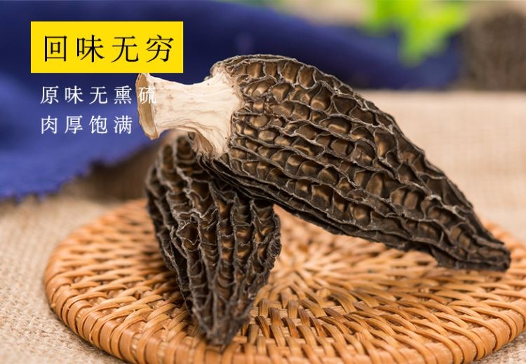 陇南羊肚菌菌种 羊肚菌
