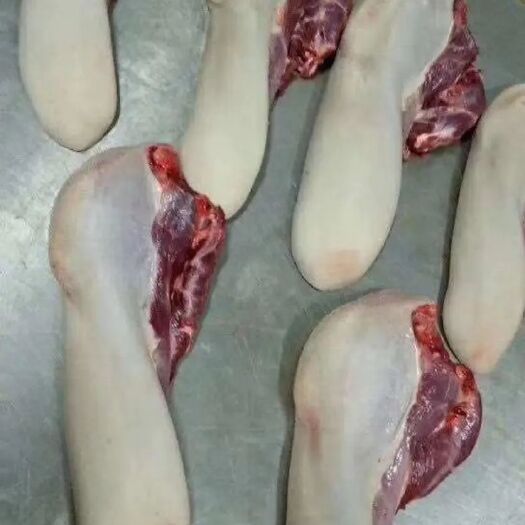 阳信县纯干牛舌 牛口条3斤以上新鲜厂家直销大量批发