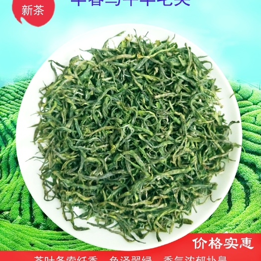三江县 2020新茶明前特级乌牛早毛尖高山云雾早春绿茶礼盒装250g