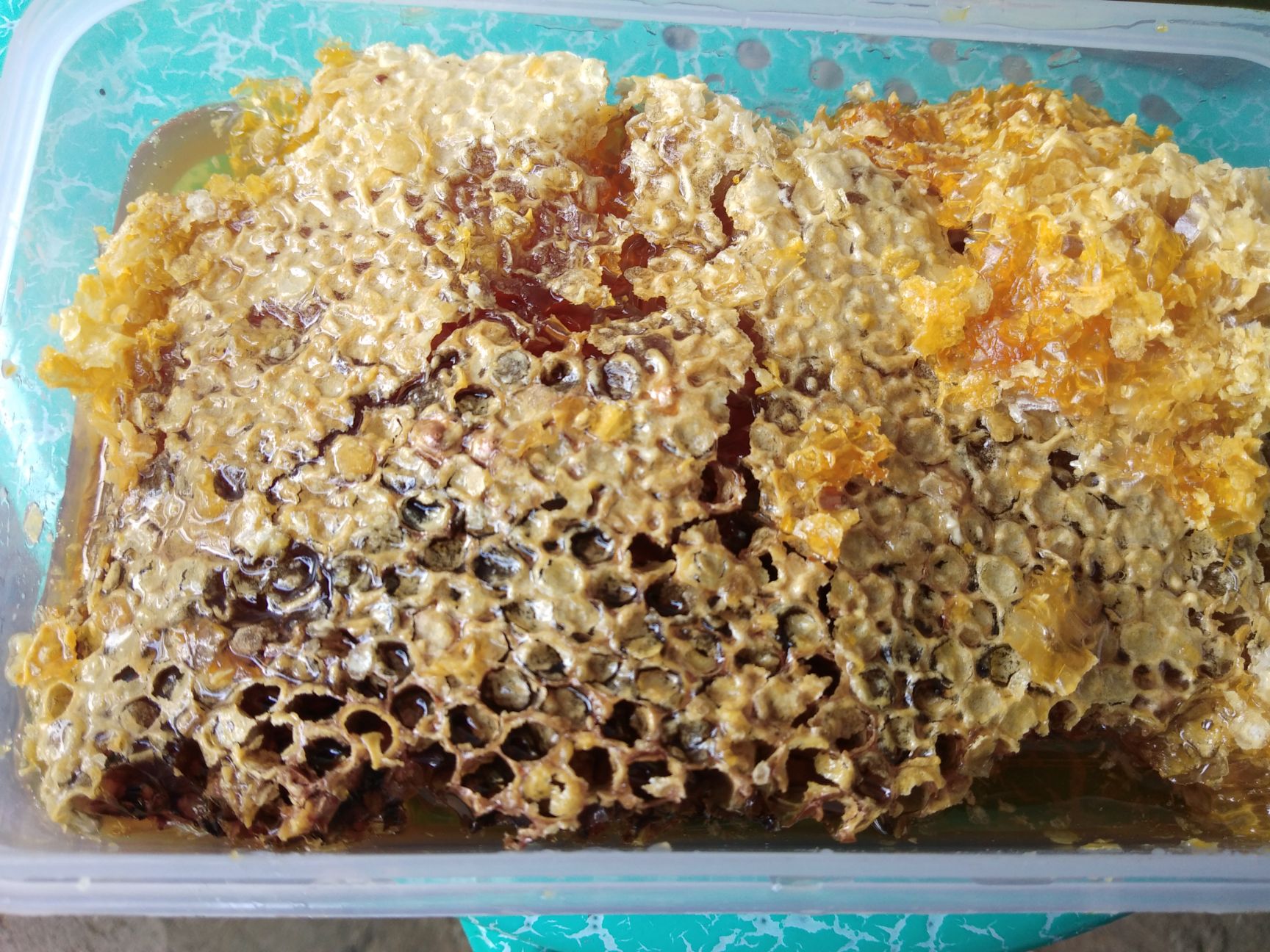 梦到野蜂蜜(梦见野生蜂蜜)