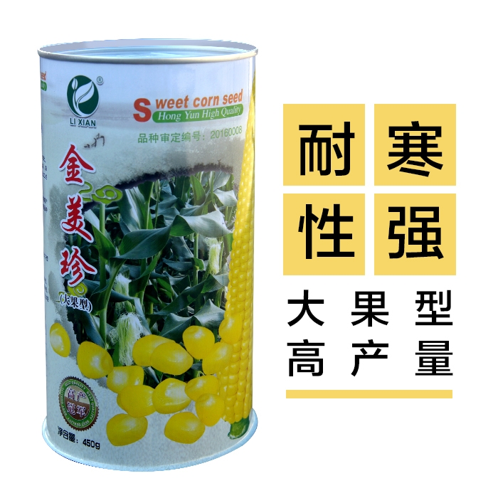 广州 水果甜玉米种子杂交高产金美珍纯黄农场种孑种籽包邮耐寒大果型