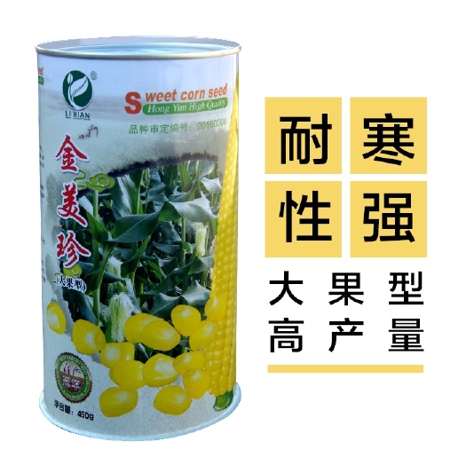 广州 水果甜玉米种子杂交高产金美珍纯黄农场种孑种籽包邮耐寒大果型