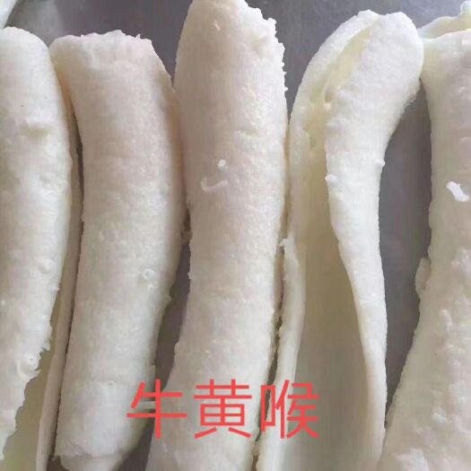 成都牛黄喉  黄喉大量长期有货