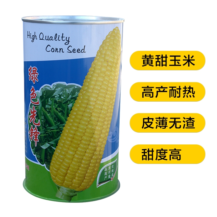 广州 水果黄甜玉米种子种孑种粒绿色先锋华农大田耐热高产青苞玉米种子