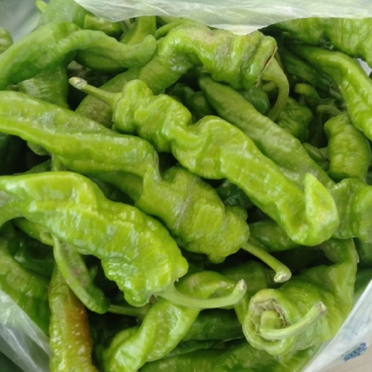 麦盖提县 新疆特产辣椒批发