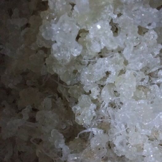 瑞丽市 4A雪燕