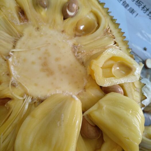  广东菠萝蜜