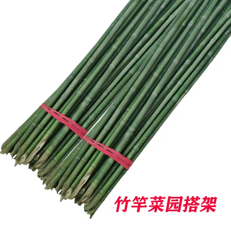 菜架竹竿竹子实心竹大棚竹