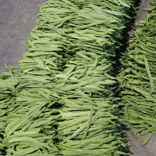 应县绿龙豆角 山西省应县大型无公害蔬菜基地代购中心