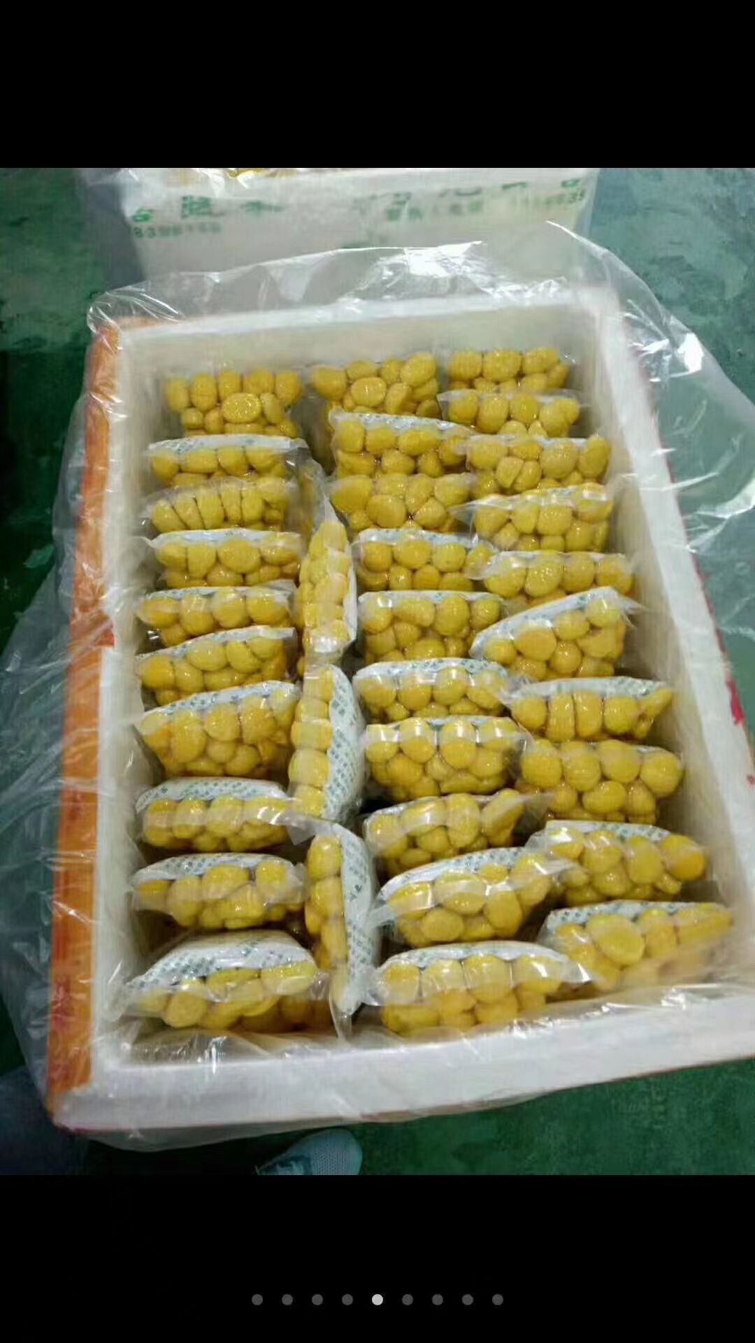  鲜板栗仁