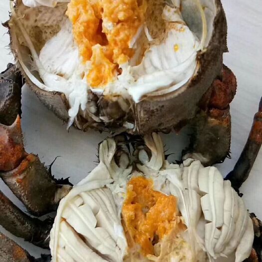 东营 六月黄大闸蟹