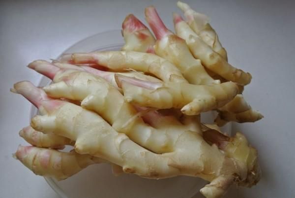 仔姜 醋泡姜，似参汤”，“冬吃萝卜夏吃姜”！