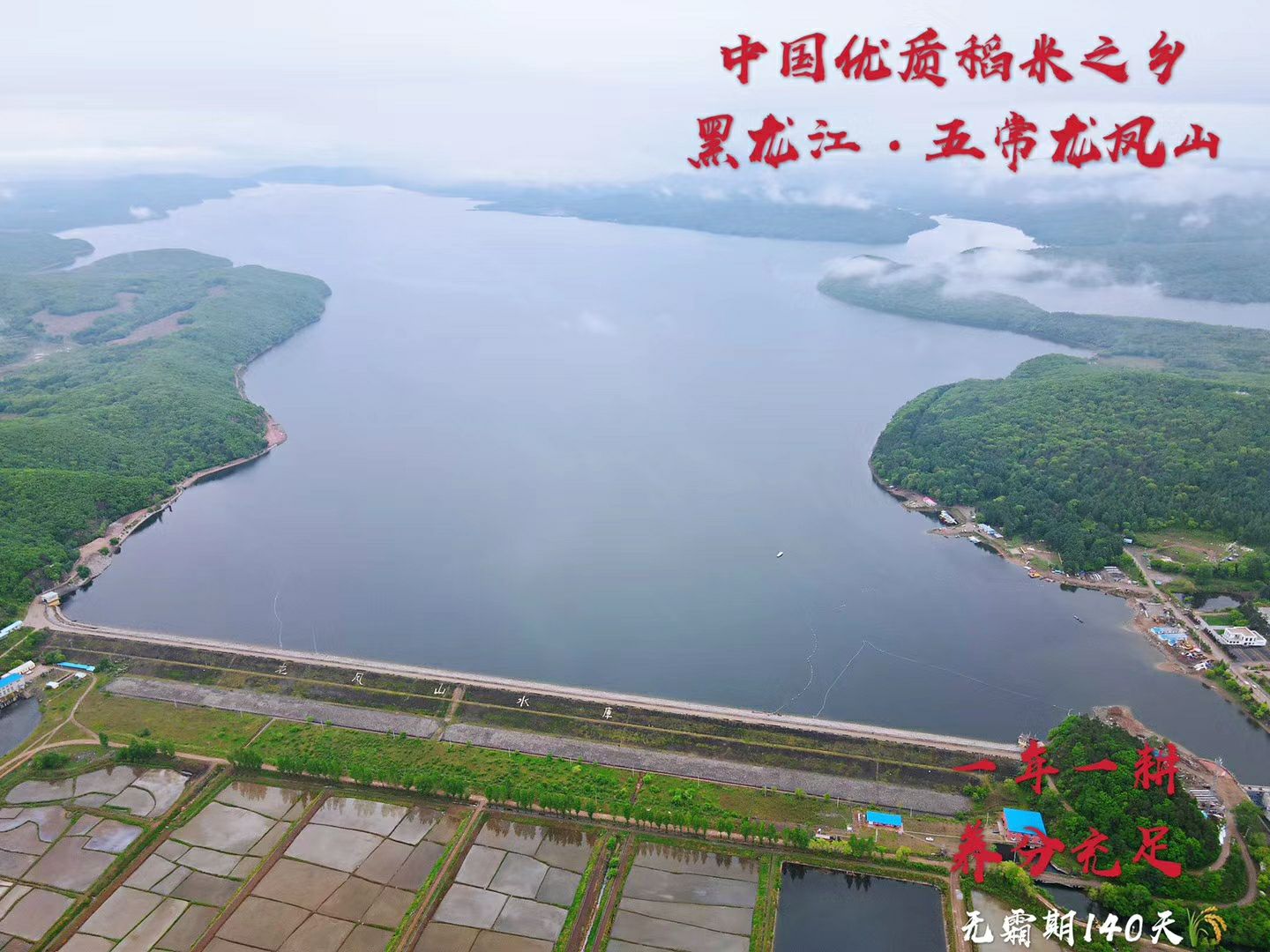 五谷杂粮礼盒  东北特产五谷杂粮，农户自产，有机种植，礼盒包装，包邮到家。