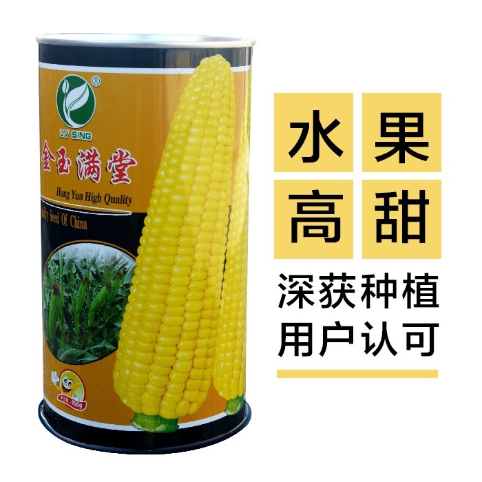 广州 水果甜玉米种子单交高产皮薄耐热玉米农家基地种孑种籽蔬菜籽包邮