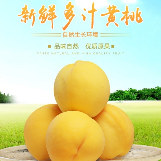 长沙县 锦绣黄桃  现货现摘  新鲜直达