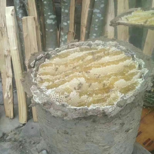 乐山 野采花蜂蜜