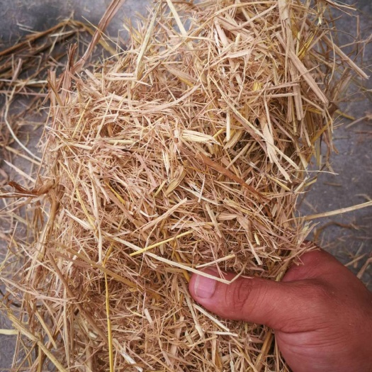 重庆市青干草饲料  花生秧干稻草