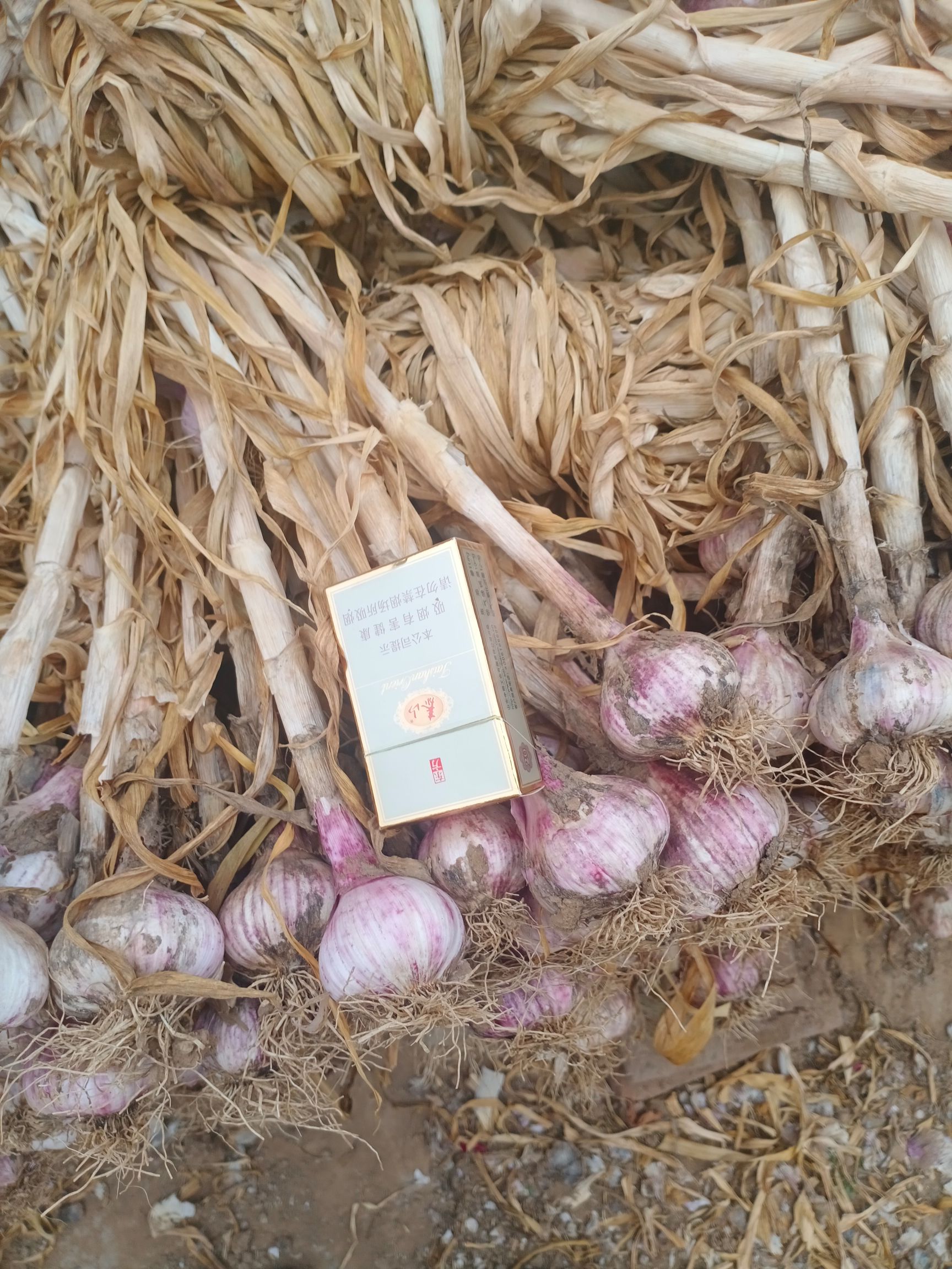 金乡大蒜 混级统货