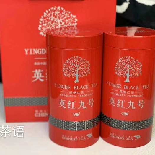 英德市英红九号 恒温长期保存