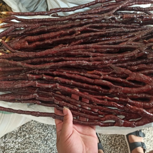 亳州 灵芝草 各种规格 专业中药批发
