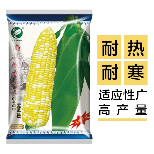广州 南美耐热3号玉米种子黄白双色甜玉米种籽水果玉米种孑