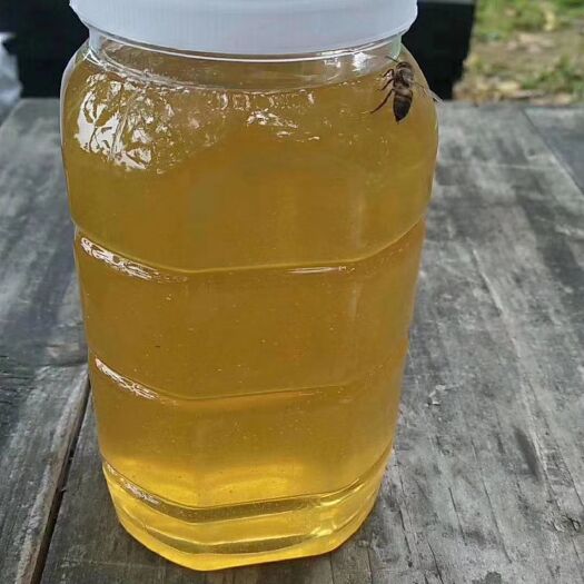 南靖县百花蜜 假一赔十