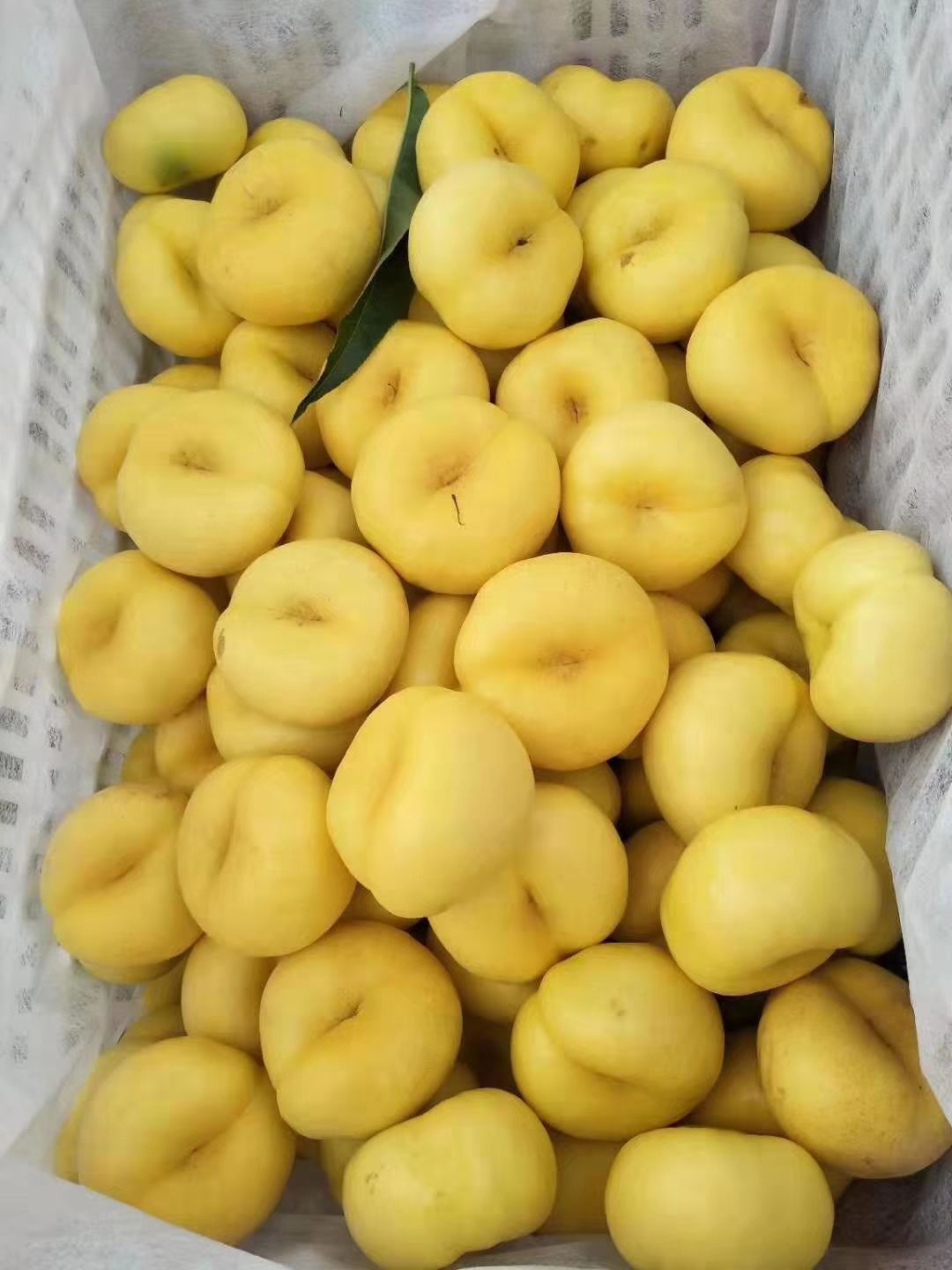 蟠桃，黄油蟠桃