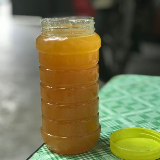 宝鸡 秦岭自家养殖土蜂蜜