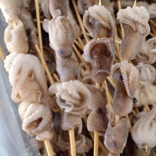 北海章鱼  八爪鱼串一手货源   厂家直接批发