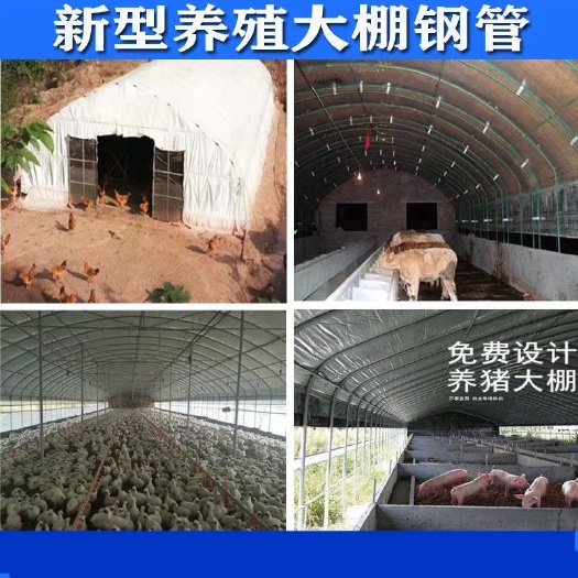 天津 养殖大棚、鸡棚猪棚鸭棚骨架热镀锌镀锌管，质量保证、厂家直发