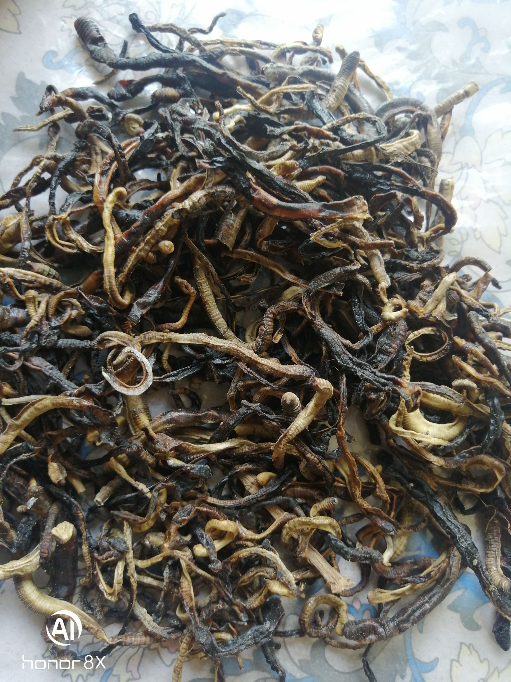 地龙 干蚯蚓  蚯蚓干货圆条