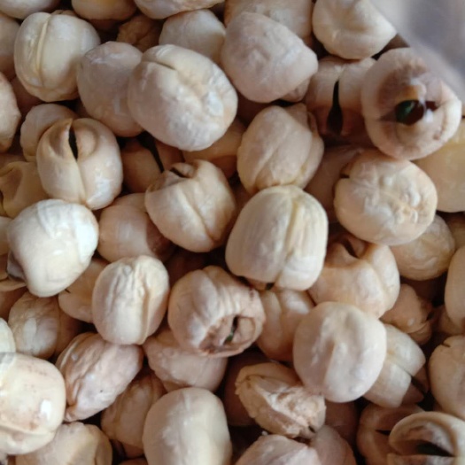 南充 莲子 手工去皮磨皮通芯湘白莲子烹饪软糯