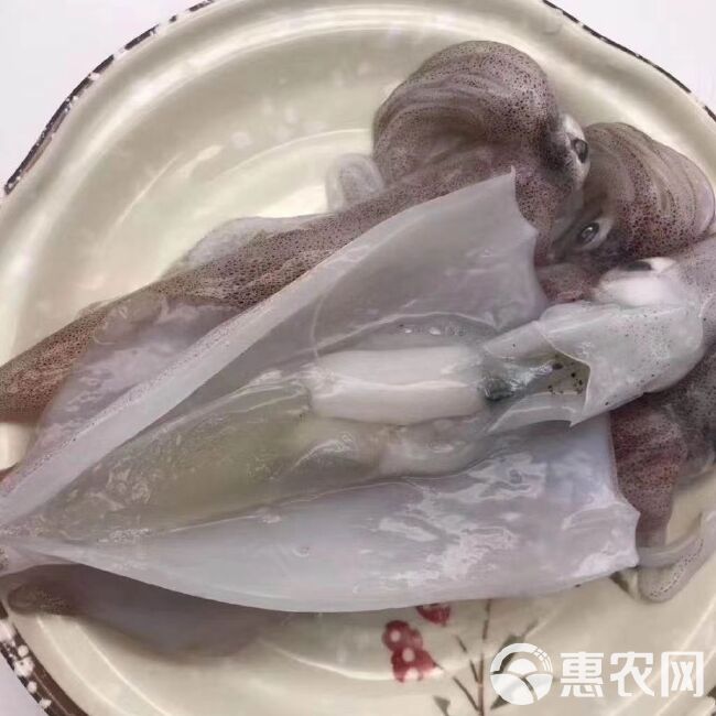 鱿鱼  带籽母管 有卵东山小管  饭管  Q弹 酥脆 有点甜