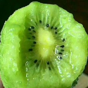 眉县 酸甜爽口的眉县猕猴桃，别有一番风味！