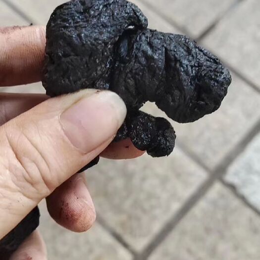 玉林河南熟地黄中药材熟地黄个一级货