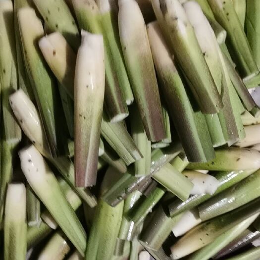 惠水县 现摘农家新鲜蔬菜茭白五斤装包邮菰时令茭儿菜营养食谱高笋5斤