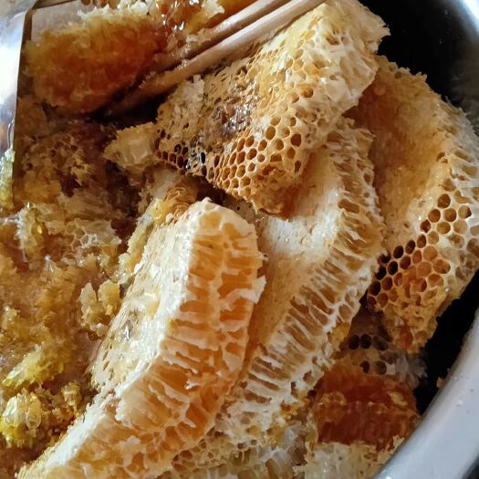 维西县土蜂蜜  高山蜂蜜