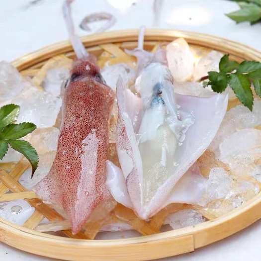 东山县鱿鱼  带籽母管 有卵东山小管  饭管  Q弹 酥脆 有点甜