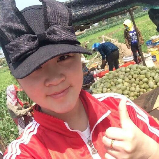 沈阳香妃 十五亩香瓜园盛大开园，欢迎光顾