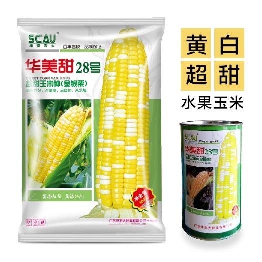 广州水果玉米种子 华美甜28号金银粟 黄白双色超甜玉米品种 华农大种业品种