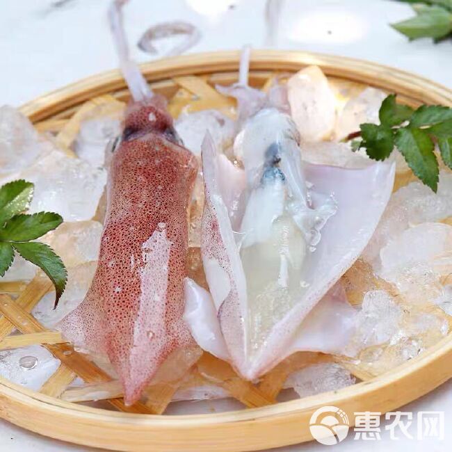 鱿鱼  带籽母管 有卵东山小管  饭管  Q弹 酥脆 有点甜