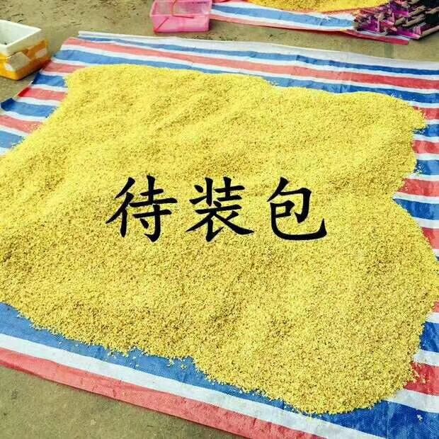 桂花茶 桂花之乡大量批发新鲜桂花，干桂花，产地直销批发价格优