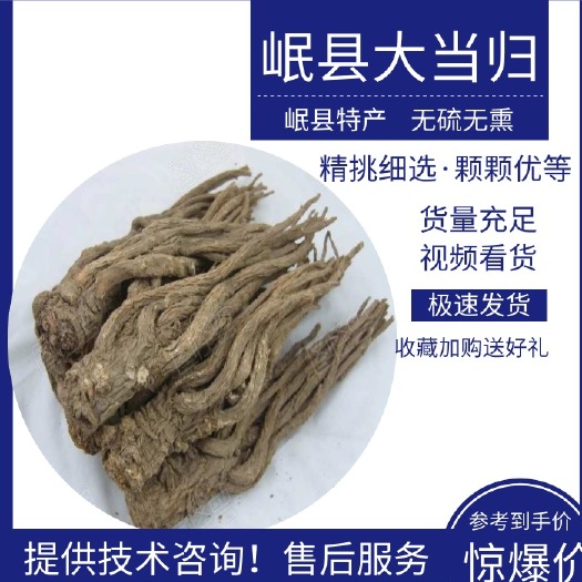 岷县岷当归  甘肃岷县当归，大当归，全干新货，无硫，产地直供，量大从优包邮